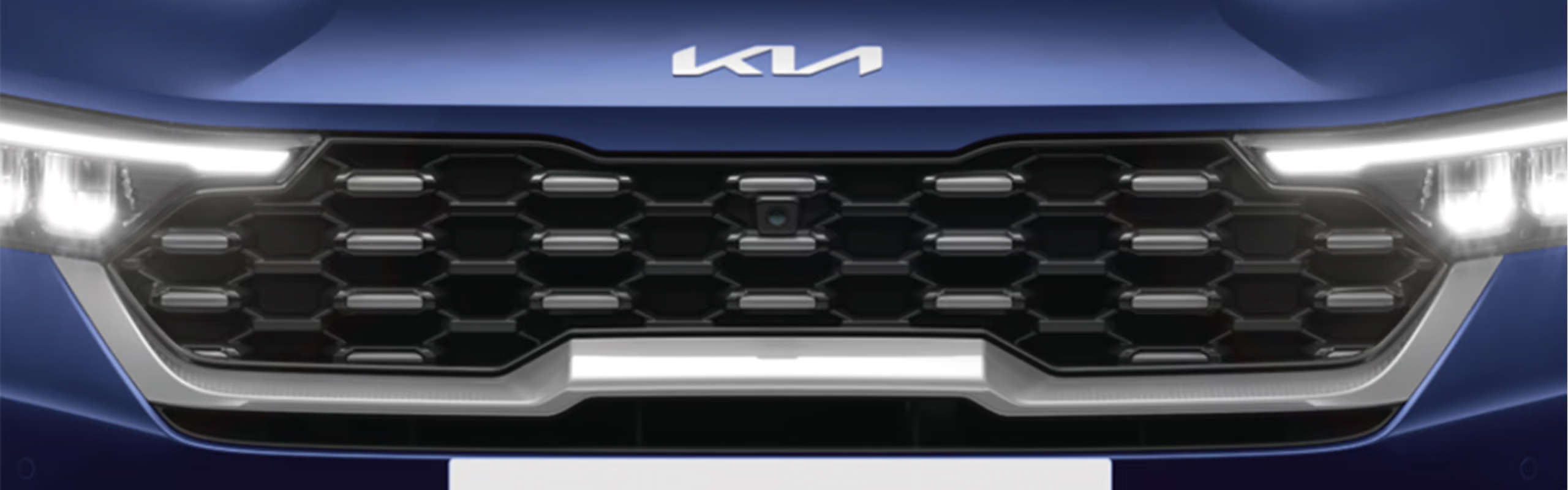 Signature Tiger Nose Grille