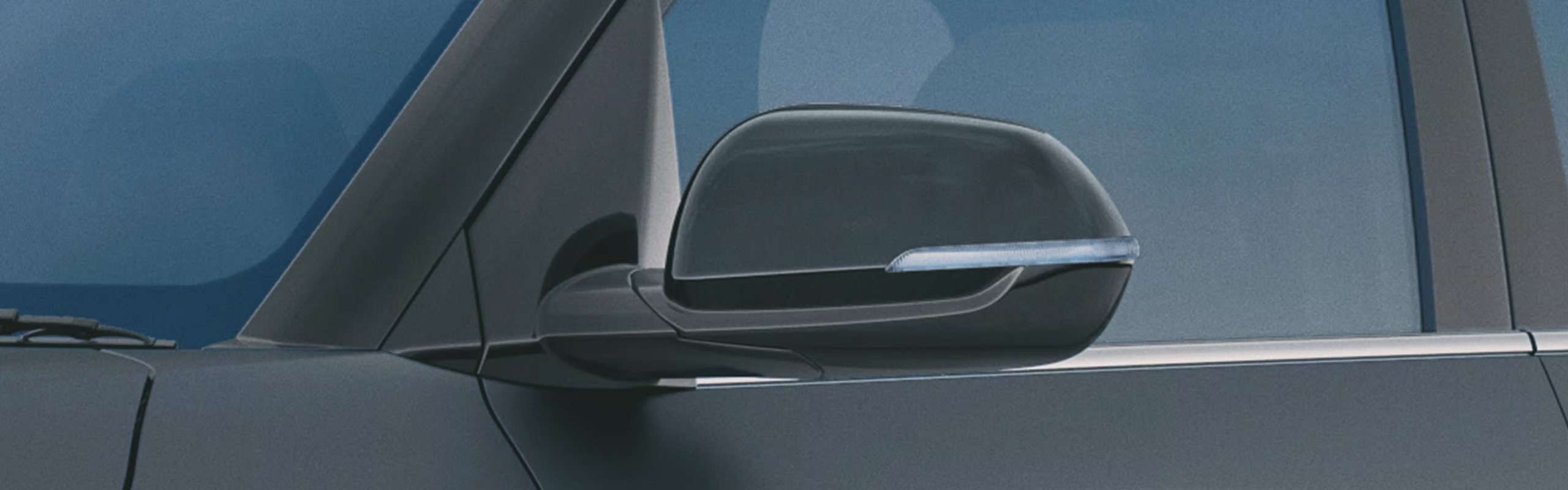 Electric Adjust Outside Mirror with LED Turn Signal