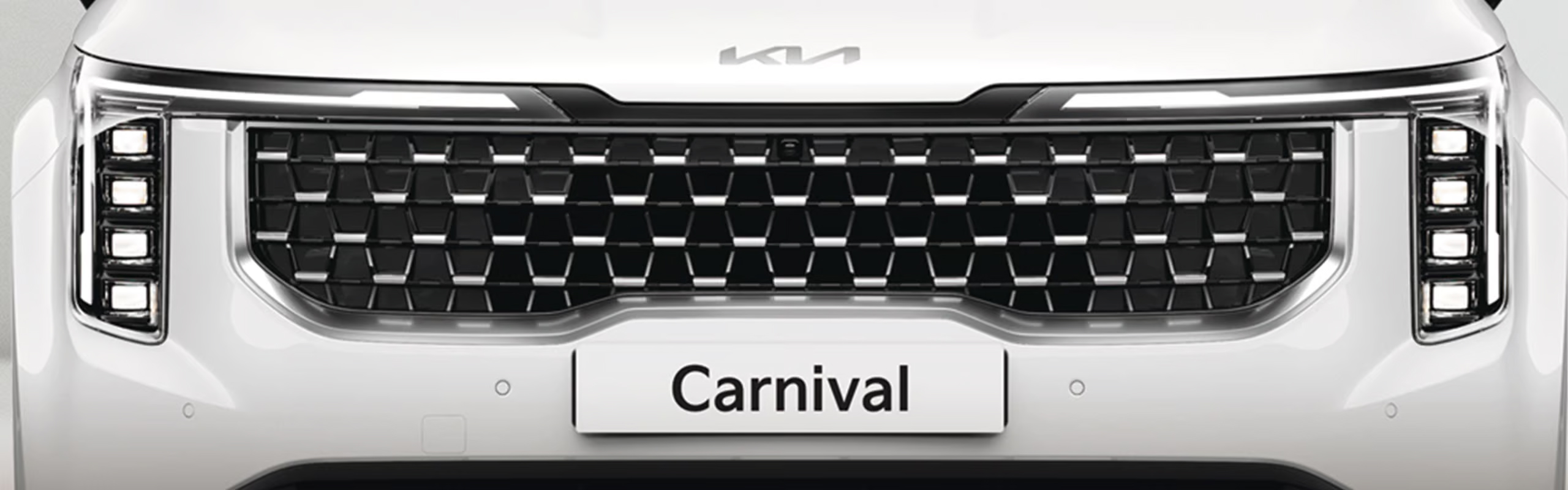 Black and Chrome “Tiger Nose Grille”
