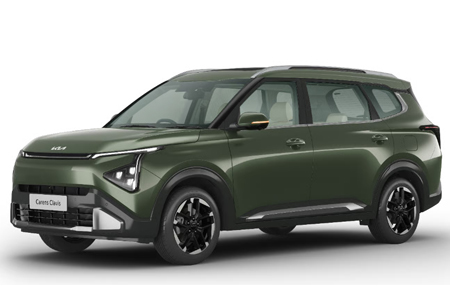 Pewter Olive